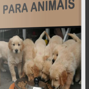 Alimentos caseiros para animais.jpg