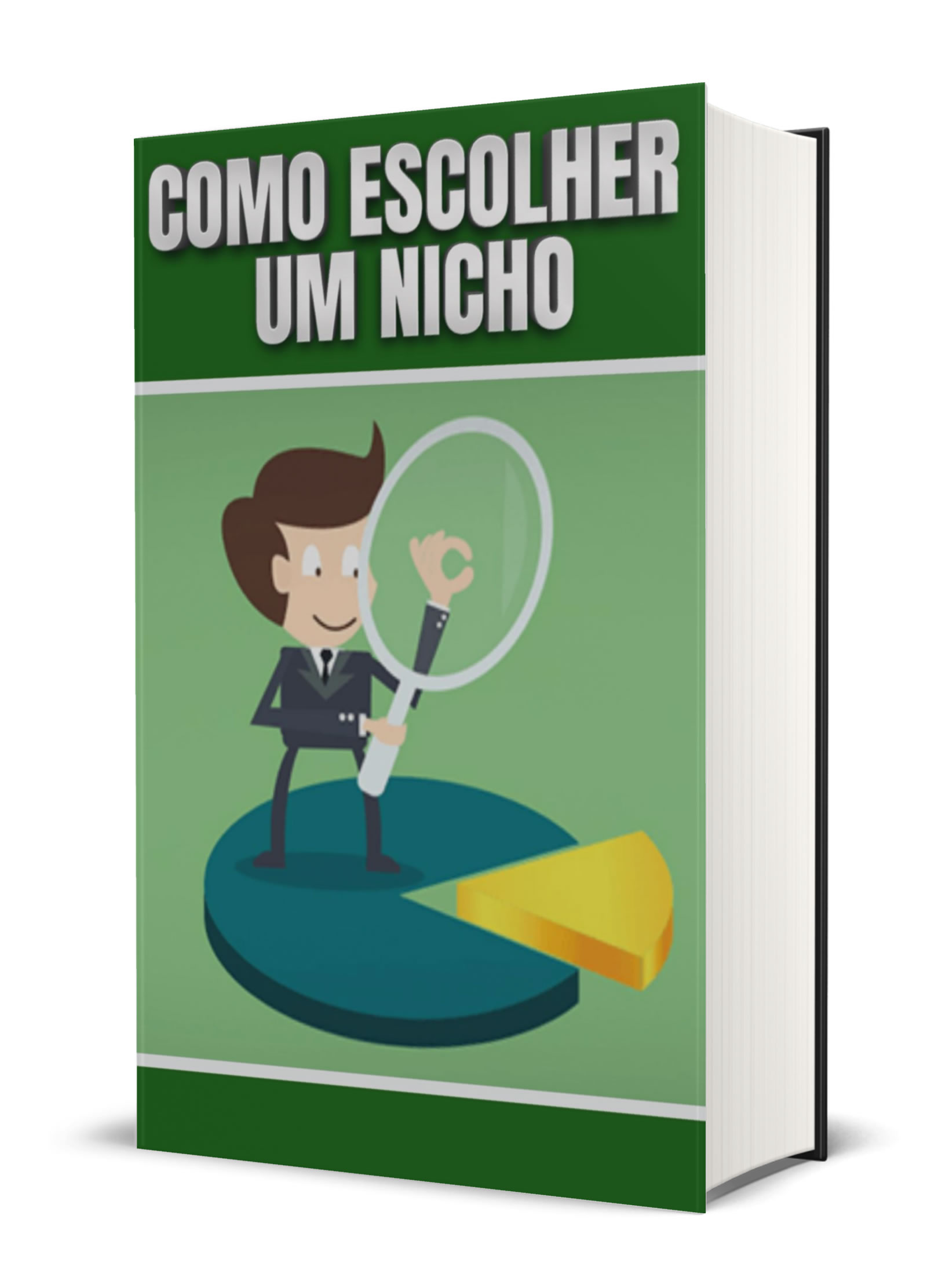 E-book PLR Como Escolher um Nicho 2 como escolher um nicho ebook plr.jpg