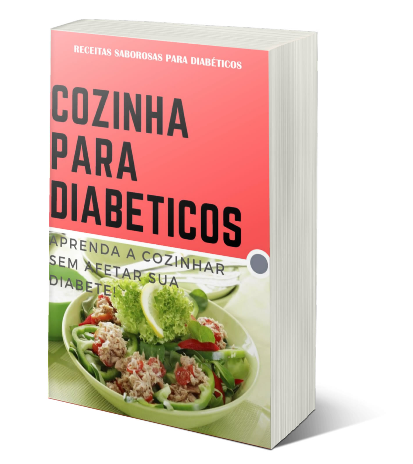 e-Book PLR Receitas para Diabéticos 2 cozinha para diabeticos.jpg