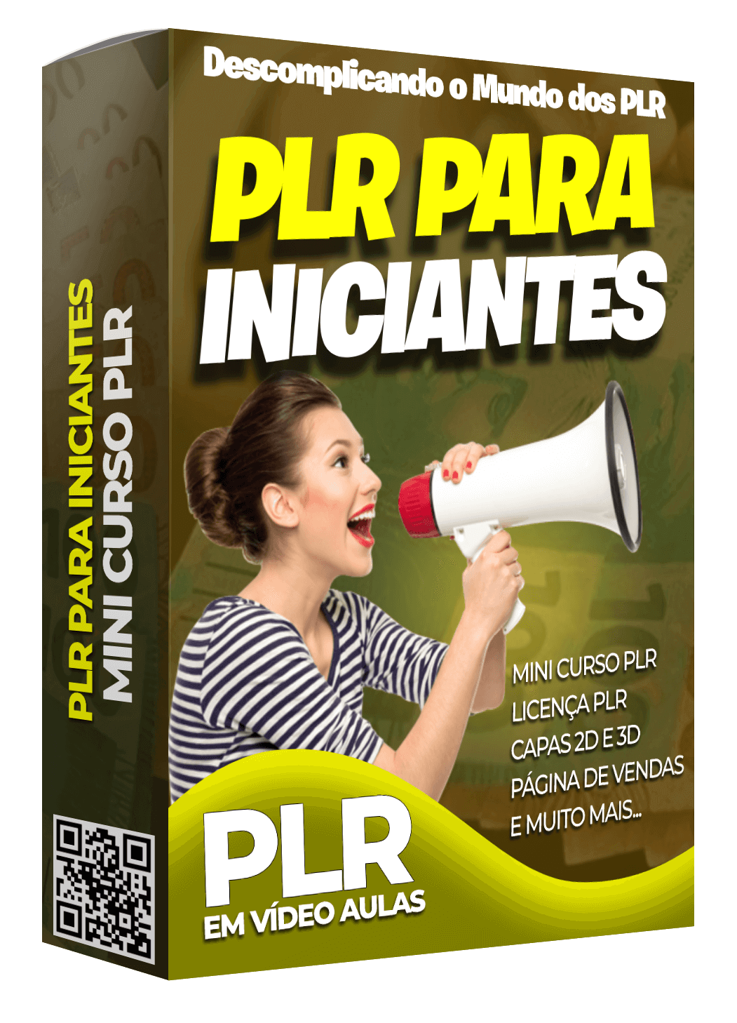 Curso PLR com Direitos de Revenda 1 curso plr plr para iniciantes.png