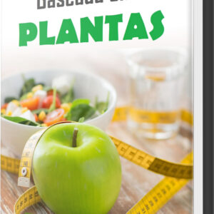 ebook alimentacao baseada em plantas plr.jpg