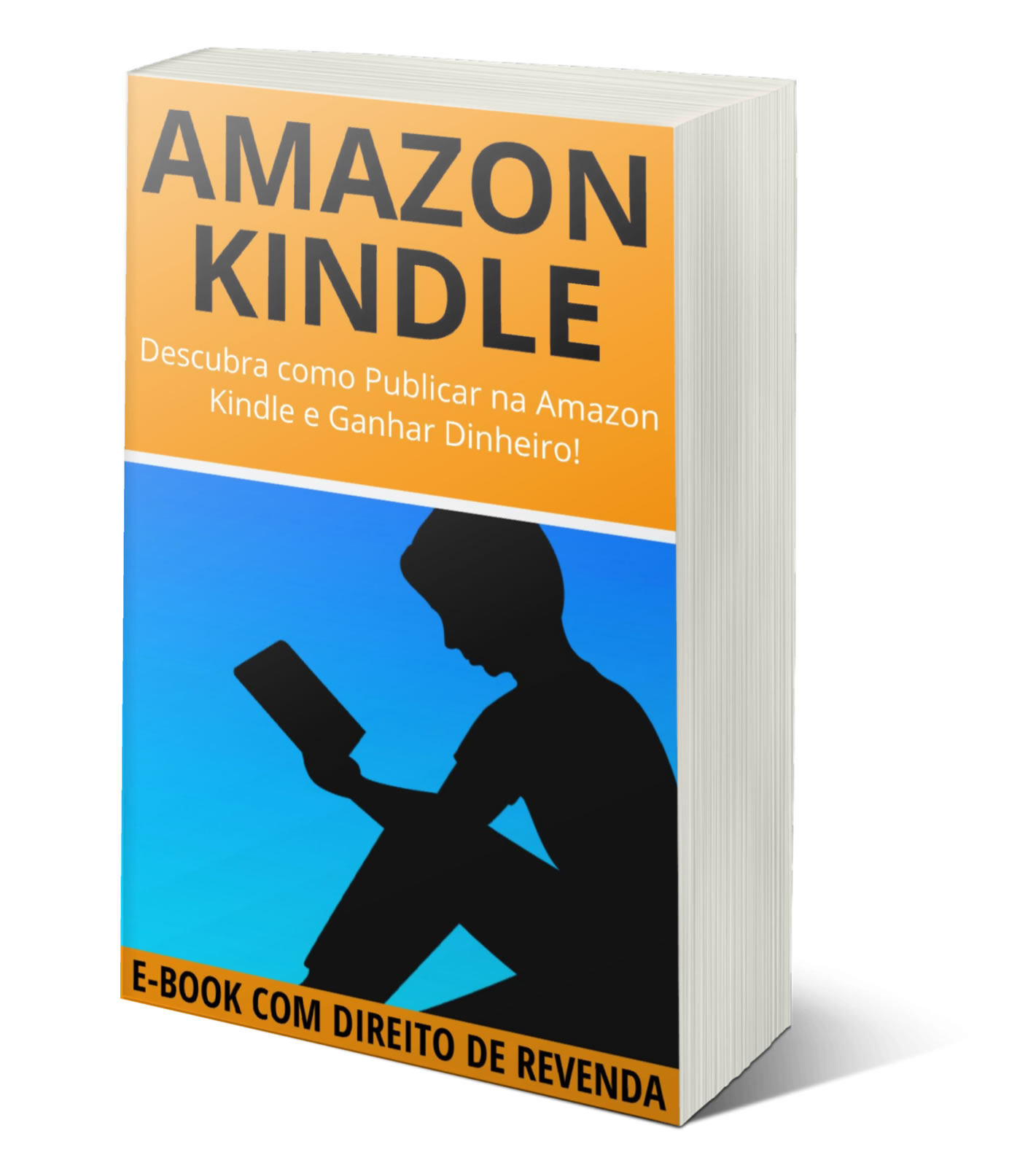 E-book PLR Amazon Kindle 1 ebook plr amazon.jpg