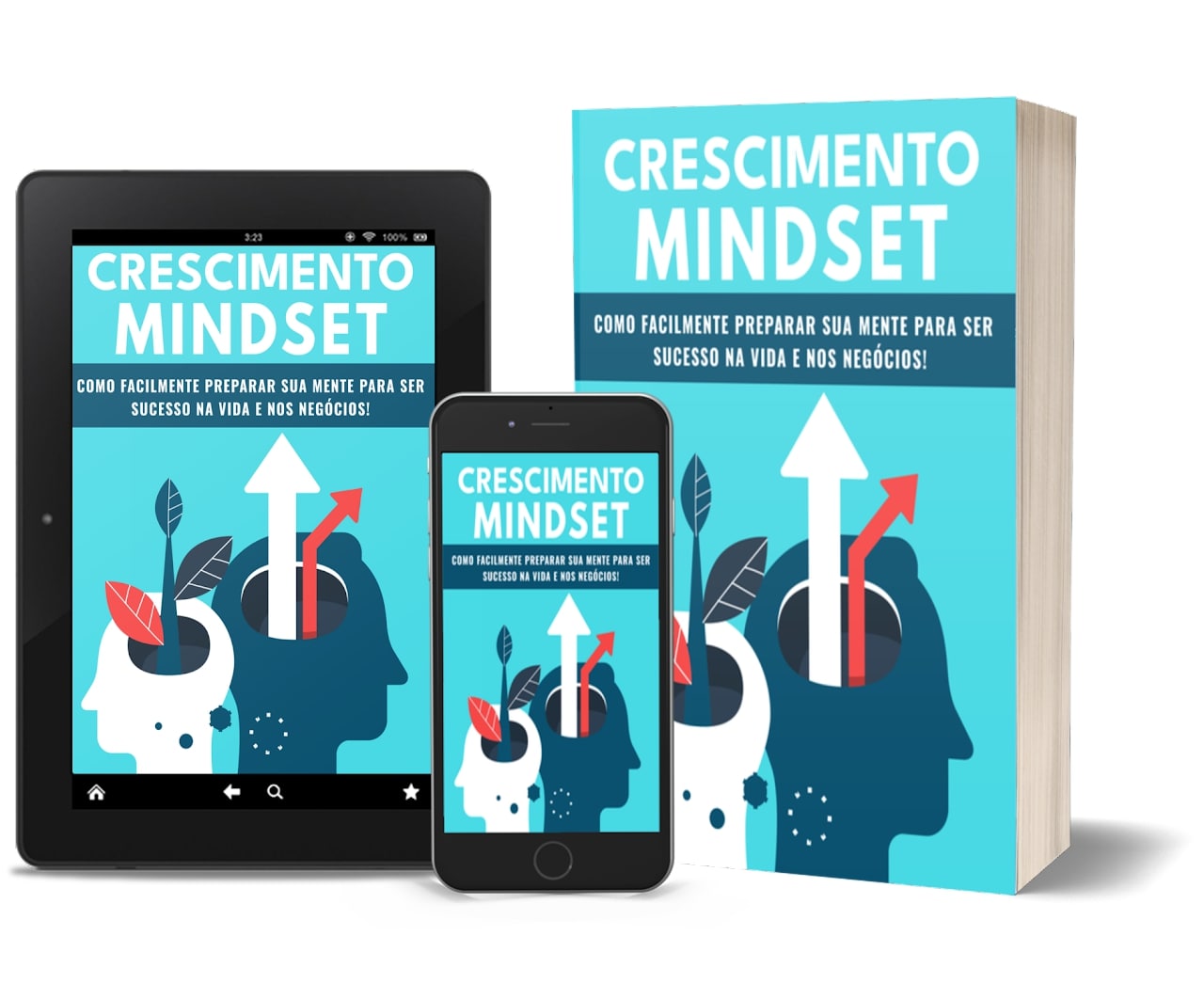 PLR Áudios Books 8 ebook plr crescimento mindset.jpg