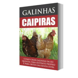 ebook plr galinhas caipiras.jpg