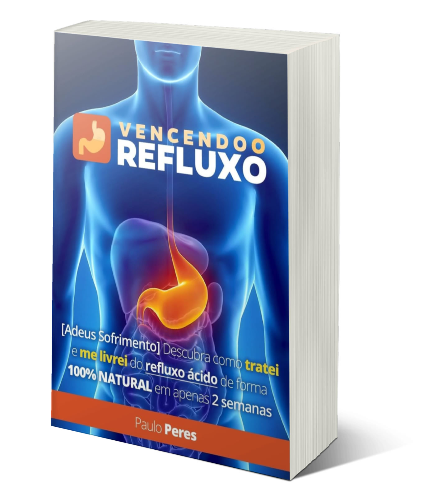 Ebook PLR Vencendo o Refluxo 1 ebook plr vencendo o refluxo.jpg
