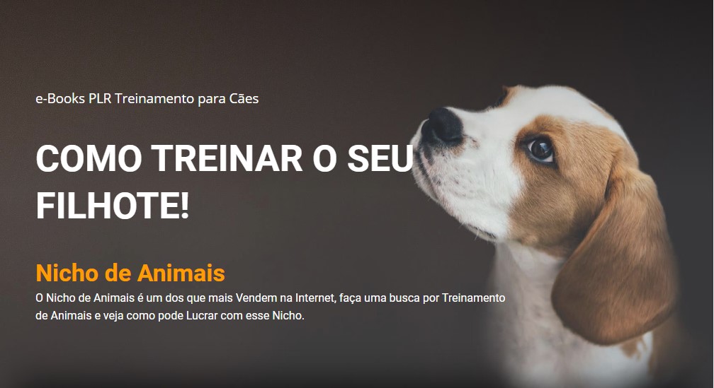 Página de Venda Produto Digital 11 modelo pagina de vendas treinamento caes.jpg
