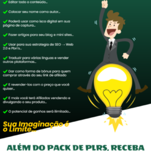 paginadevenda 20 ebooks plr varios nichos.png