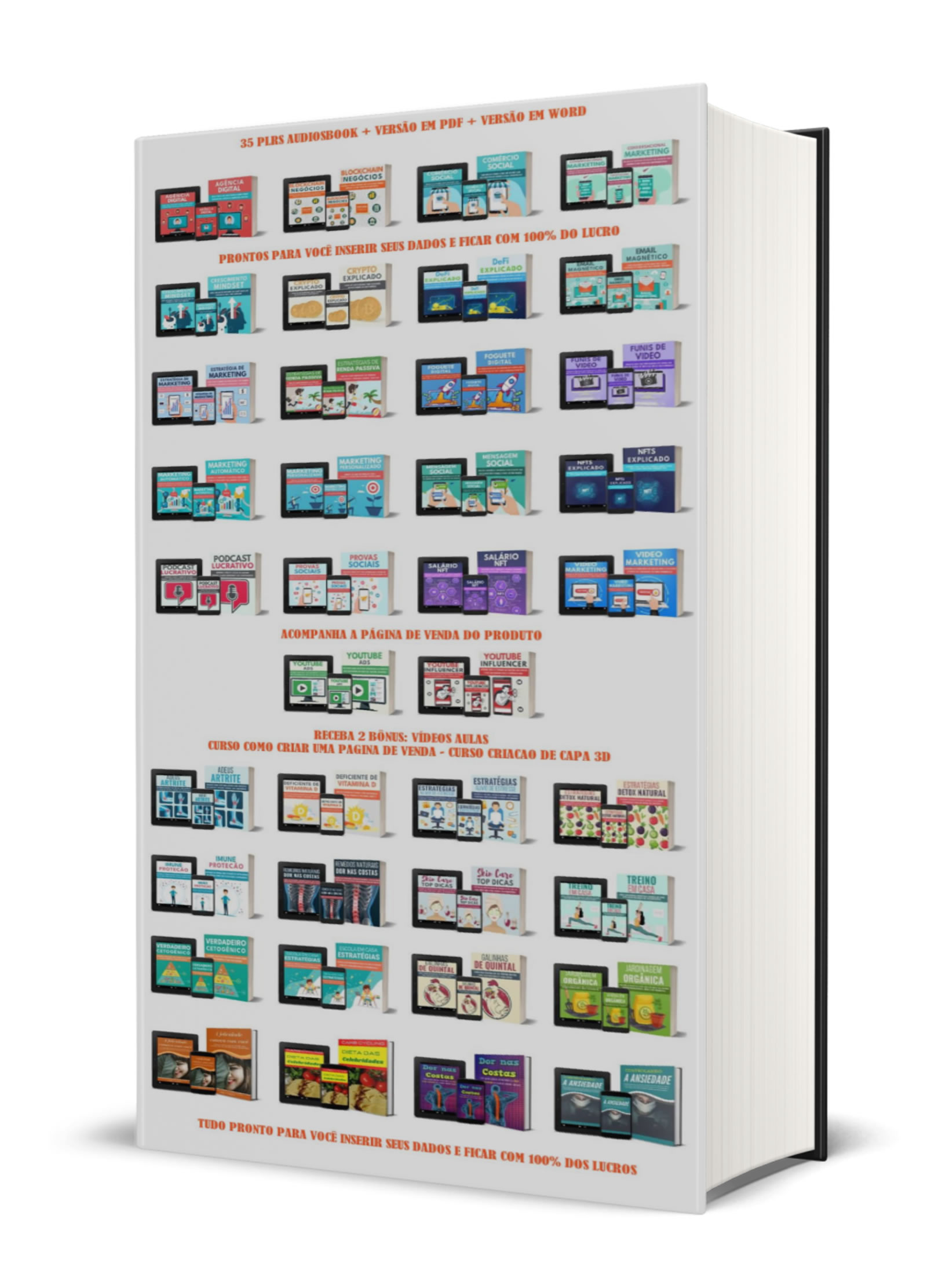 PLR Áudios Books 1 plr audio book.jpg