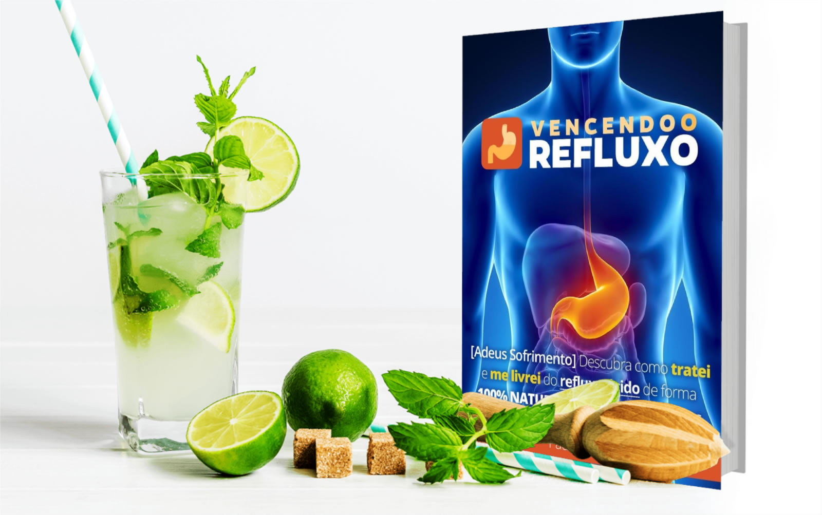 Ebook PLR Vencendo o Refluxo 10 plr vencendo o refluxo.jpg